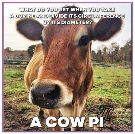 Funny Cow Memes Page Of Entegra Signature Structures