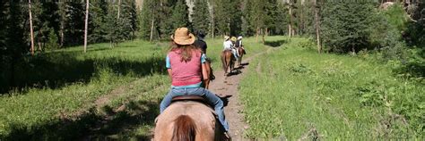 Horseback Riding Sequoia And Kings Canyon National Parks
