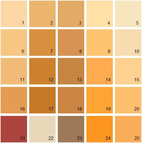 Learning about paint color and how to choose the right color for your home. Benjamin Moore Orange House Paint Colors - Palette 13