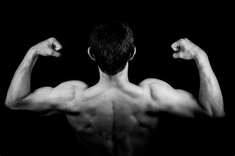 How To Build Muscle The Basic Guide For Beginners Muscleopolis