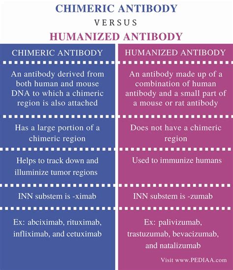 First, scientists extract the relevant antibodies from human blood. Difference Between Chimeric and Humanized Antibody ...