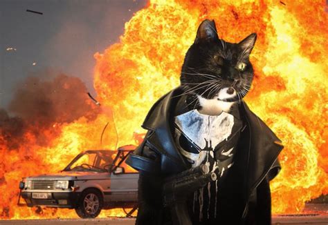 20 Cats Walking Away From Explosions As A Parody To Cool Guys Dont