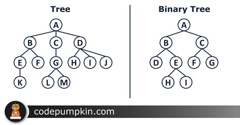 Types Of Binary Tree Binary Tree Introduction Code Pumpkin