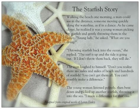 Night concerts at starfish mainstage are the best! marina: The Starfish Story postcard (With images) | Starfish story ...