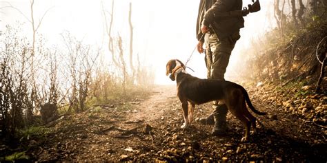 Le compagnon d'elisa pilarski, morte de morsures canines dans une forêt de l'aisne fin 2019 où elle promenait curtis, le chien de ce dernier, a été mis en examen jeudi pour «homicide involontaire». Mort d'Elisa Pilarski, attaquée par des chiens : l'heure ...