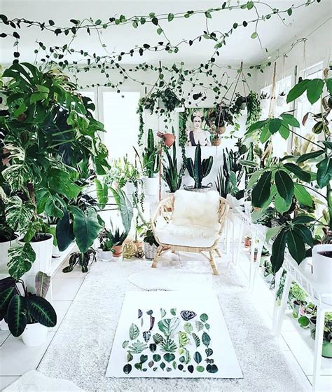 Pin By Flight Of Fancy On Plants In 2020 Room With Plants Big Indoor