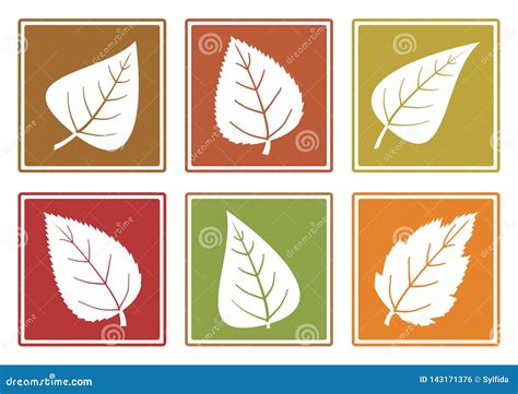Colored Set Of Different Leaf Icons Vector Illustration Stock