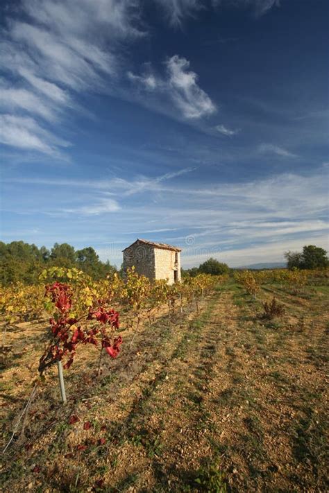 Vineyards Provence France Stock Photo Image Of Beauty Landscape