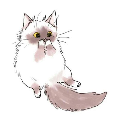 Pin By Klaudia Wojcieska On Rysowanie KotÓw Cats Illustration Cat