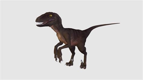 1st Year Raptor Download Free 3d Model By Eggtoast 66d7d90 Sketchfab