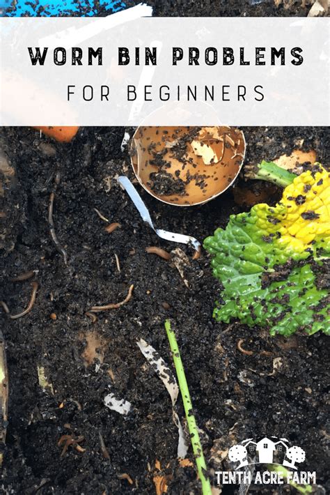 One pound of worms can turn 65 pounds of garbage into garden compost in 100 days. Worm Bin Problems for Beginners | Worm bin, Composting ...