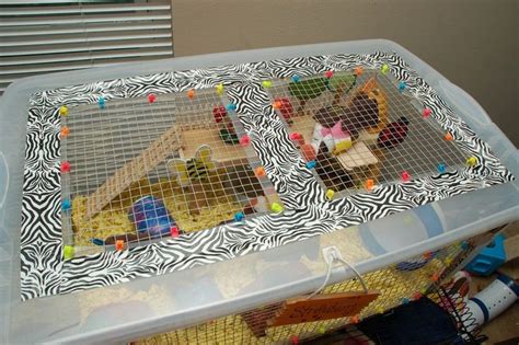 Burn right home incinerator cage. 18 best Homemade rodent cages images on Pinterest | Hamster stuff, Vivarium and Hamster homes