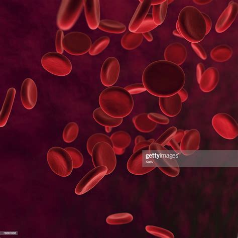 3d Representation Of Human Red Blood Cells Flowing In Our Body Foto De