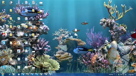 48 Animated Fish Aquarium Desktop Wallpapers On