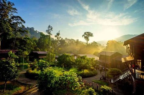 The mixed dipterocarp rainforest in lambir hills national park contains the greatest biodiversity in tree species of any sarawakian national park, and is possibly the richest forest anywhere in the world. An Intricate Guide For Exploring Lambir Hills National Park!