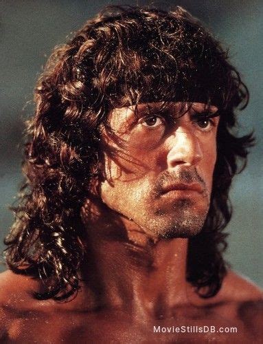 Pin By Bonomofo On Sylvester Stallone Sylvester Stallone Sylvester