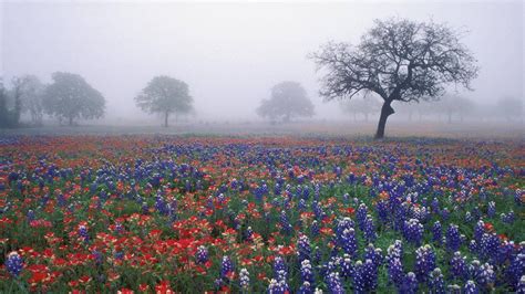 Texas Wallpaper ·① Download Free Beautiful Full Hd Wallpapers Of Texas
