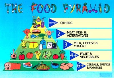 Follow the healthy eating food pyramid guide as you pick your food. Healthy Food Pyramid For Kids Picture