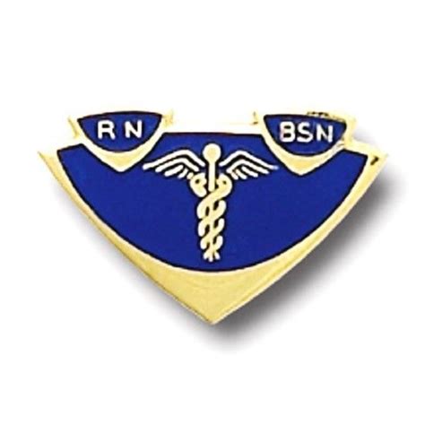 Rn Bsn Lapel Pin Insignia Emblem Registered Nurse Graduation Pinning