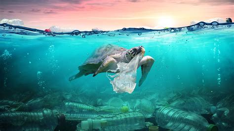 100 Plastic In The Ocean Statistics And Facts 2020