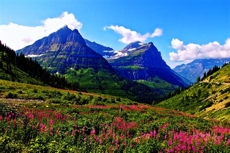 Spring Mountains Landscapes Sky Clouds Flowers Grass