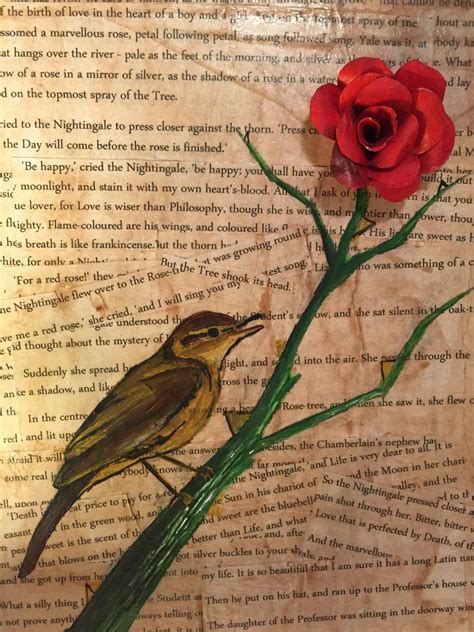 The Nightingale And The Rose By Emmahuntington On Deviantart