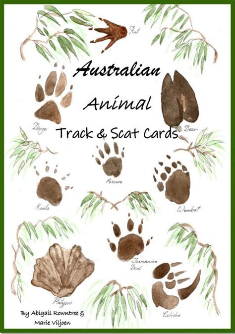 A book discussion class for kids who devour books. Australian Animal Track & Scat Cards | Australian animals ...