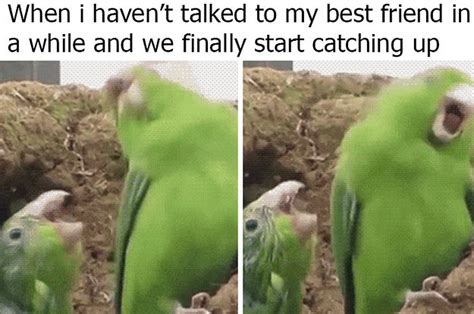 24 Memes That Are Super Relatable If Youve Been Best