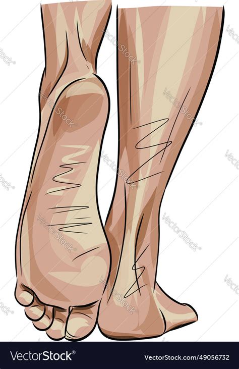 Closeup Shot Of Female Bare Feet Royalty Free Vector Image