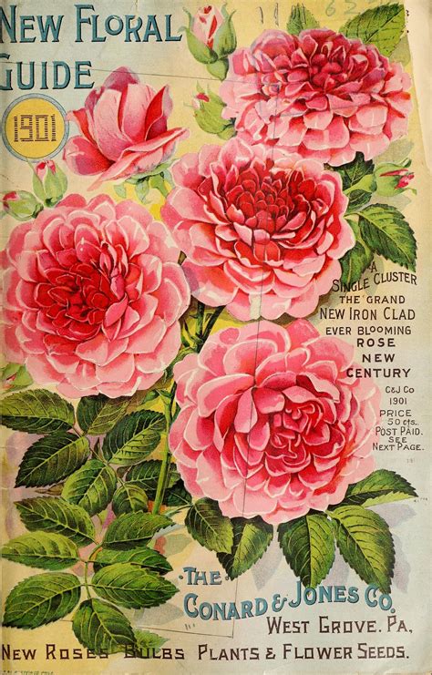 Vintage Flowers Printable Printable World Holiday