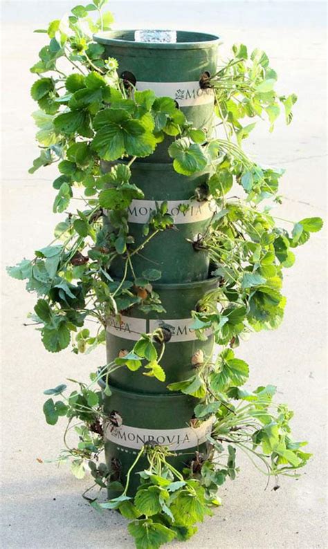 Bottle Tower Garden Instructions Fasci Garden