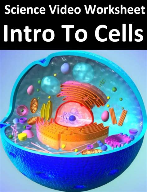 Video Worksheet Intro To Cells