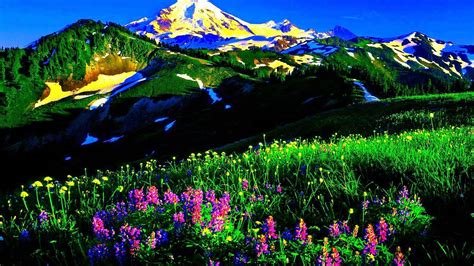 Beautiful Spring Mountain Spring Flowersmountain Landscape
