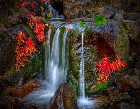 Waterfall Nature Colorful Leaves Moss Red Landscape Wallpapers Hd Desktop And Mobile