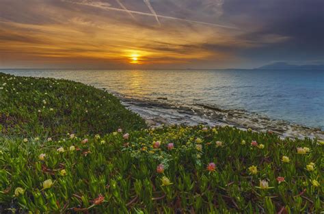 Landscape Nature Sea Sunset Flowers Kos Island Greece Wallpapers