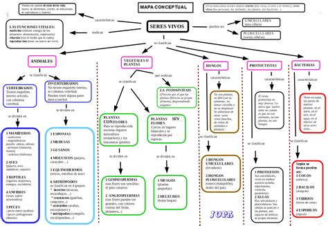 Mapa Conceptual De Las Caracteristicas De Los Seres Vivos