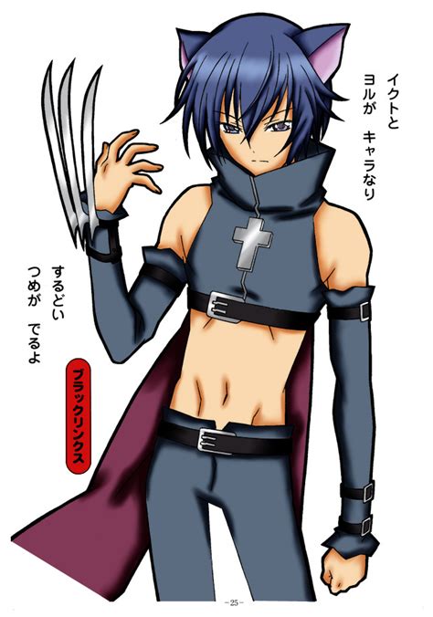 Ikuto Tsukiyomi Black Lynx By Shana340 On Deviantart