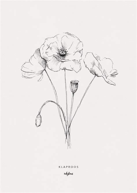 Printables Poppy Poppy Drawing Poppy Flower Drawing Line Art Drawings