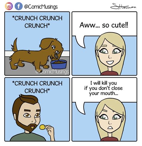 Dogs Chewing Happy Dogs Funny Comics