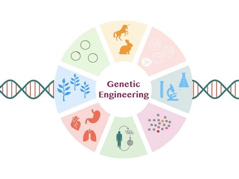 The Ethics Of Genetic Engineering Should We Play God With Our Dna