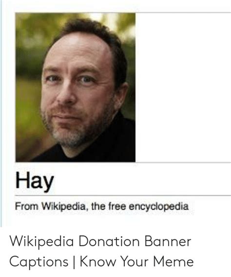 Hay From Wikipedia The Free Encyclopedia Wikipedia Donation Banner