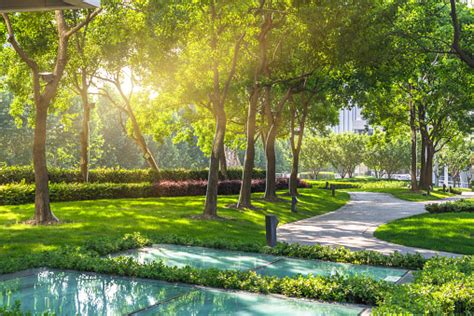 Beautiful Park At A Sunny Day Stock Photo Download Image Now Istock