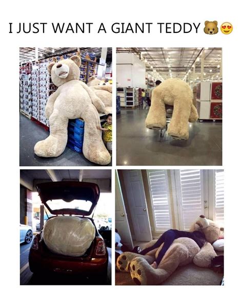 I Want A Giant Stuffed Bear Huge Teddy Bears Giant Teddy Bear