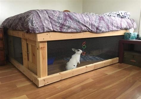 rabbit cage rabbit cage bunny room diy bunny cage