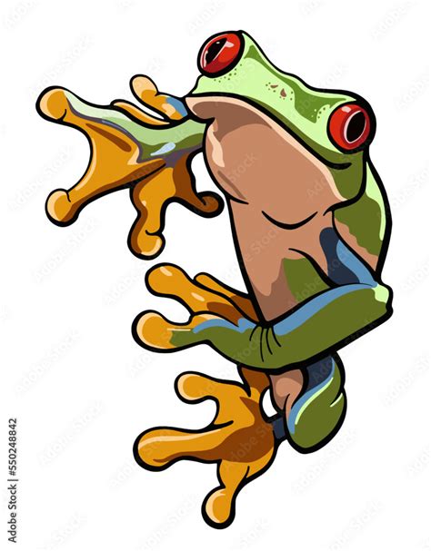 Cartoon Red Eye Frog Vector Illustration Stock Vector Adobe Stock