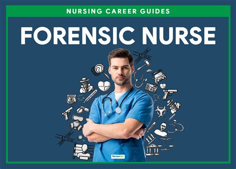 Forensic Nurse All You Need To Know About Forensic Nursing