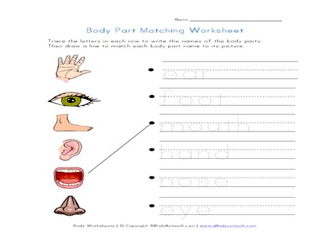 Esl body parts work sheets. Body Parts Matching Worksheet Worksheet for 1st - 3rd ...
