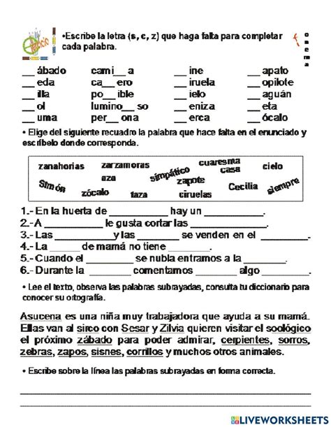 Ejercicio De Uso De La Bvcs Y Z Worksheets Spelling Activities
