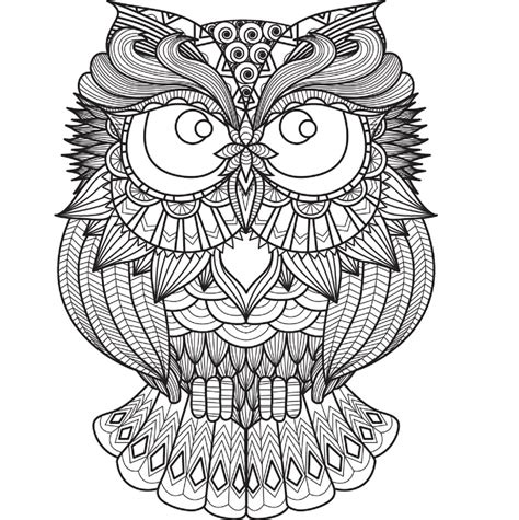 Mandala Owl Coloring Page Sheet 6 Download Print Now