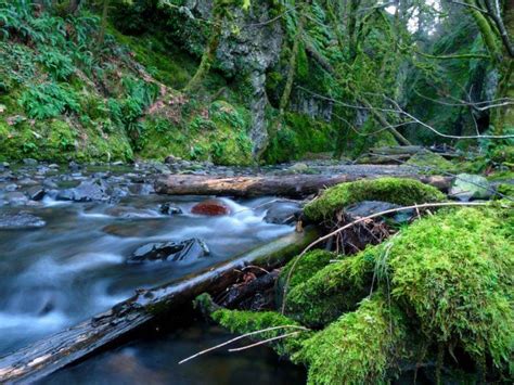 This One Epic 1 Mile Hike In Oregon Will Lead You
